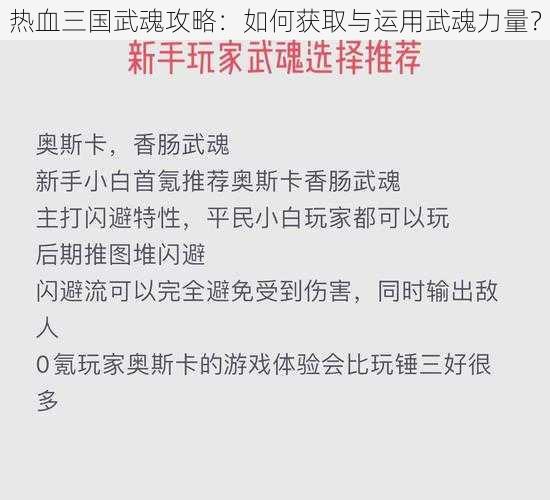 热血三国武魂攻略：如何获取与运用武魂力量？