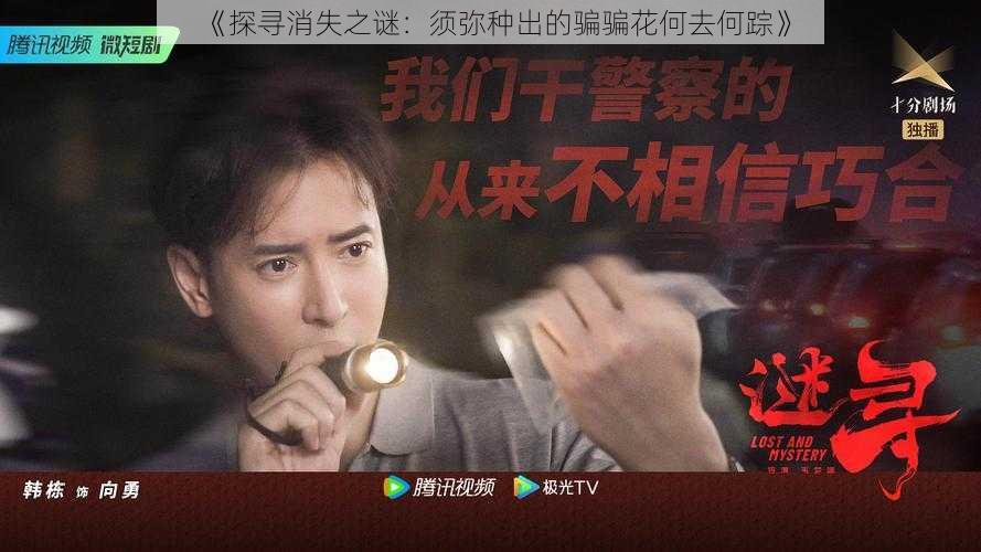 《探寻消失之谜：须弥种出的骗骗花何去何踪》