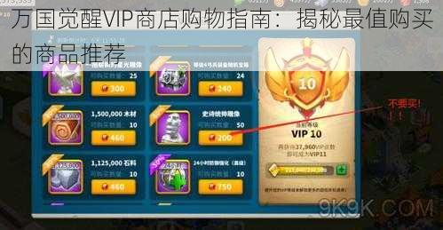 万国觉醒VIP商店购物指南：揭秘最值购买的商品推荐