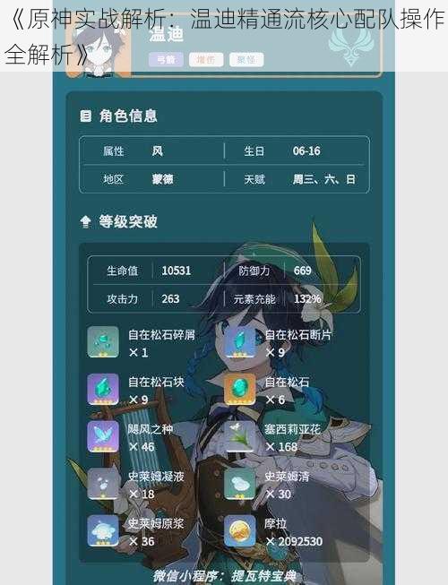 《原神实战解析：温迪精通流核心配队操作全解析》